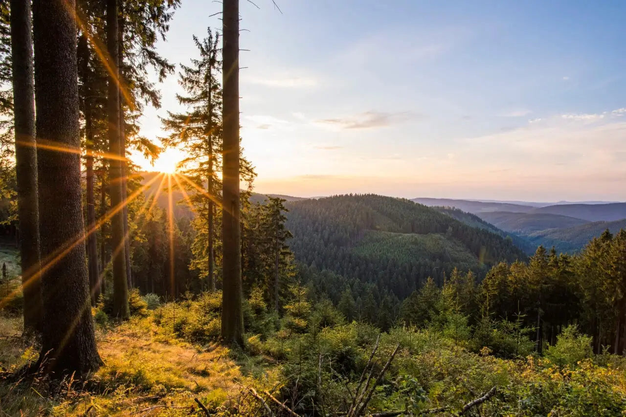 Free time and excursion in Winterberg in the Sauerland